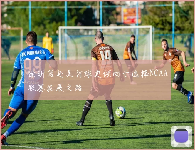 徐昕若赴美打球更倾向于选择NCAA联赛发展之路