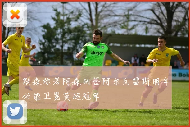 默森称若阿森纳签阿尔瓦雷斯明年必能卫冕英超冠军