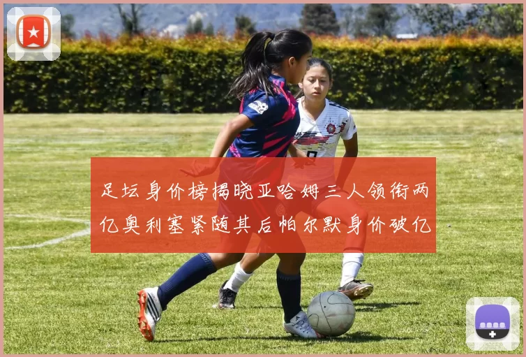 足坛身价榜揭晓亚哈姆三人领衔两亿奥利塞紧随其后帕尔默身价破亿